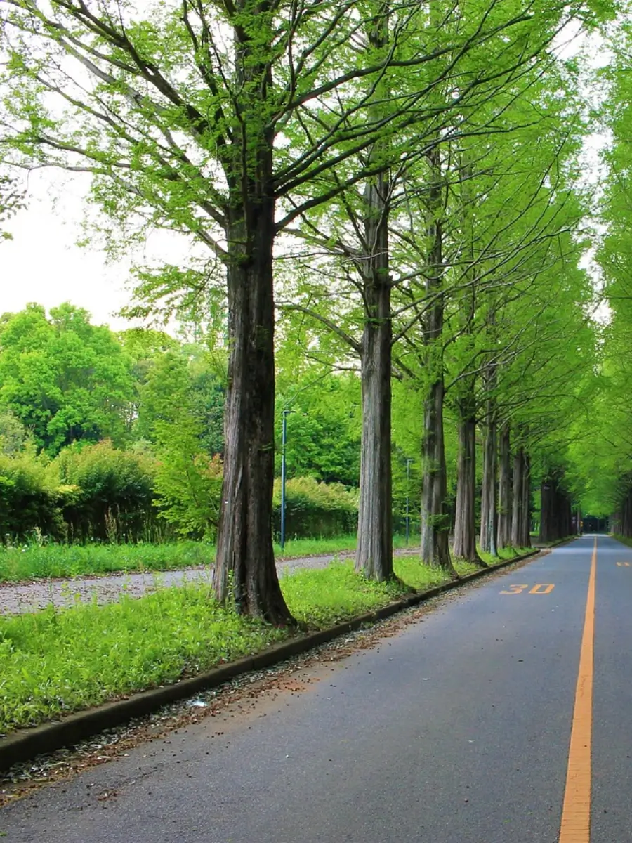 na plots near khed shivapur